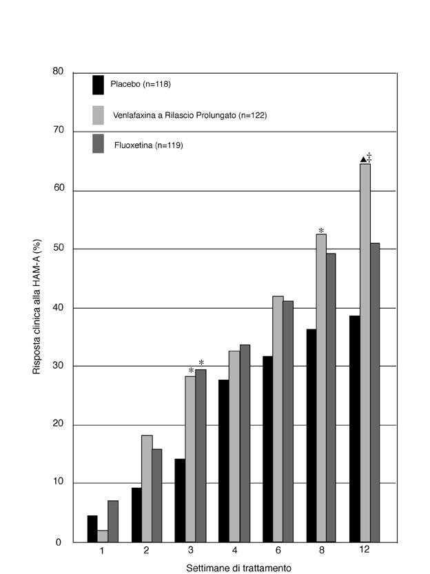 fig4.jpg (61750 byte)