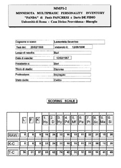 stampa1.jpg (33309 byte)
